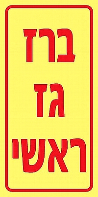 ברז גז ראשי 10×20 ס"מ