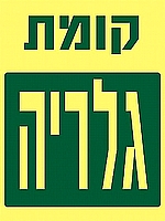 קומת גלריה 15×20 ס